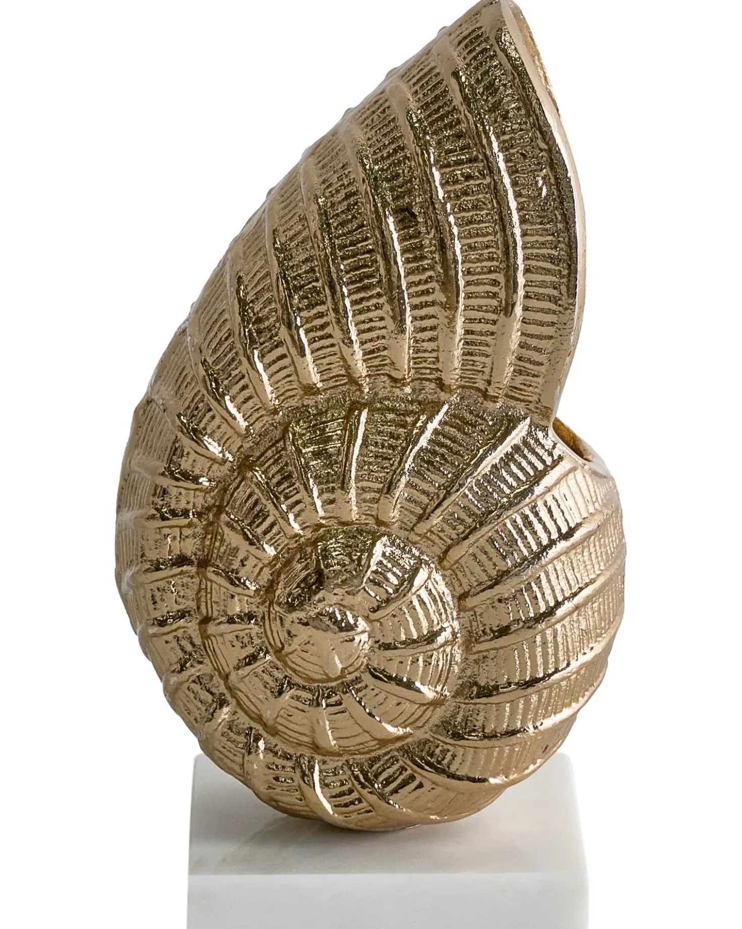 Accessorio decorativo Conchiglia TULJE Metallo Oro
