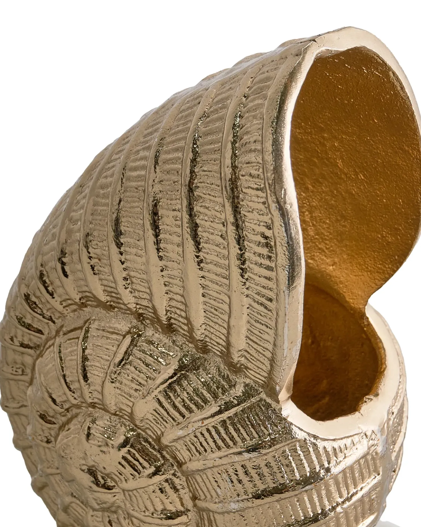 Accessorio decorativo Conchiglia TULJE Metallo Oro