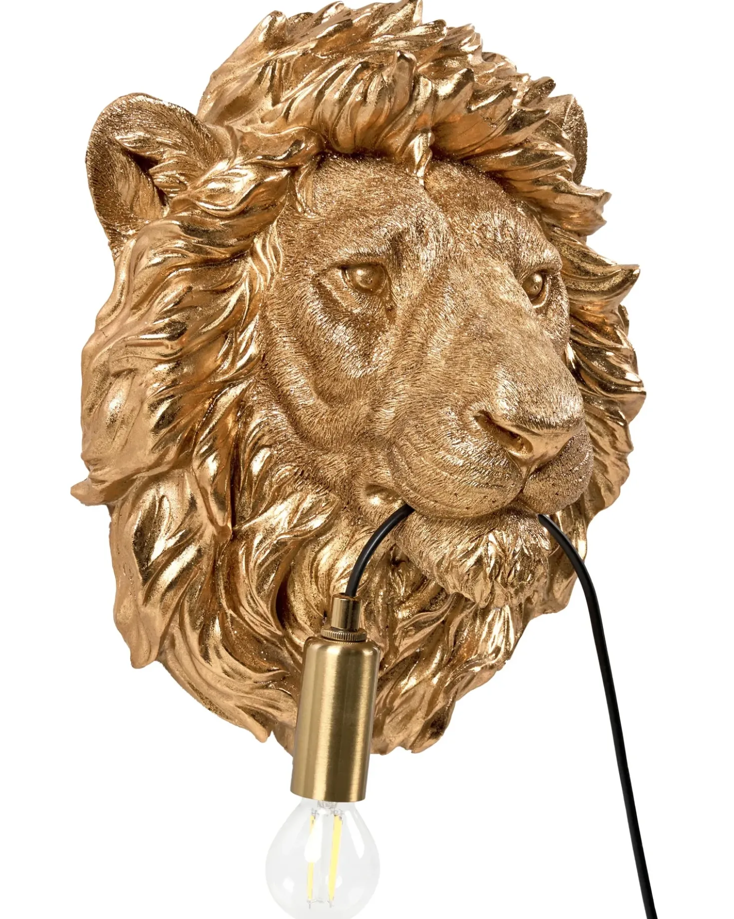 Applique Leone SIMBA Oro
