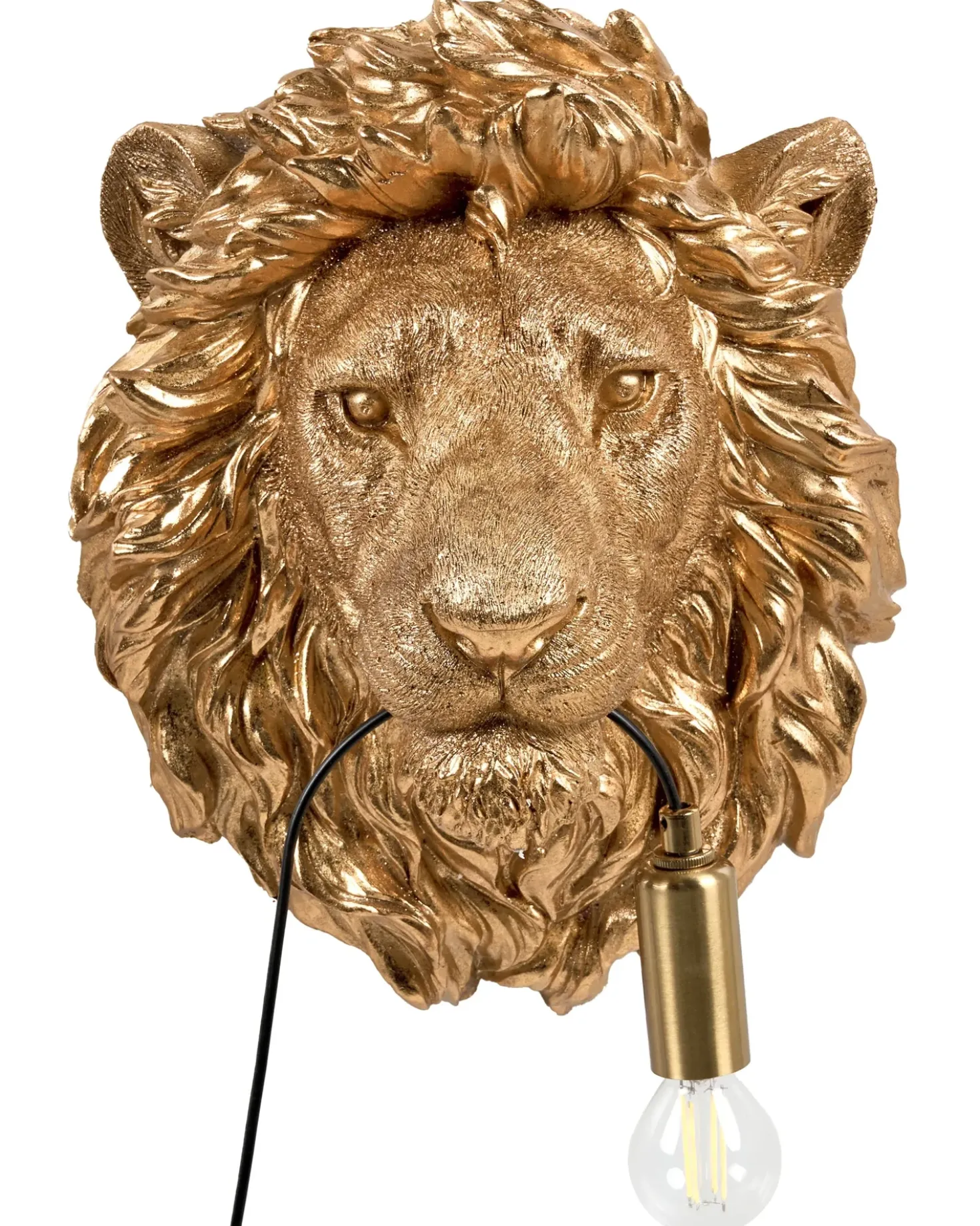 Applique Leone SIMBA Oro