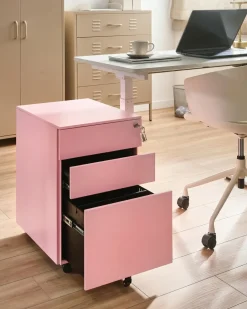 Armadietto da ufficio CAMI Metallo Rosa