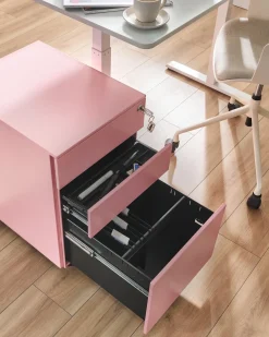 Armadietto da ufficio CAMI Metallo Rosa