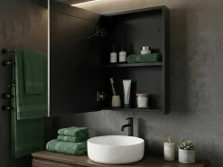 Armadio a muro per specchio da bagno LED CONDOR 40 cm 60 cm Nero