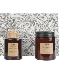 Candela Profumata con Diffusore di Fragranze DARK ELEGANCE 9 cm Marrone