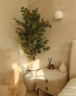 Candela Profumata con Diffusore di Fragranze DARK ELEGANCE 9 cm Marrone