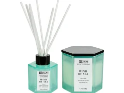 Candela Profumata con Diffusore di Fragranze CLASSY TINT Cera di Soia Note fresche