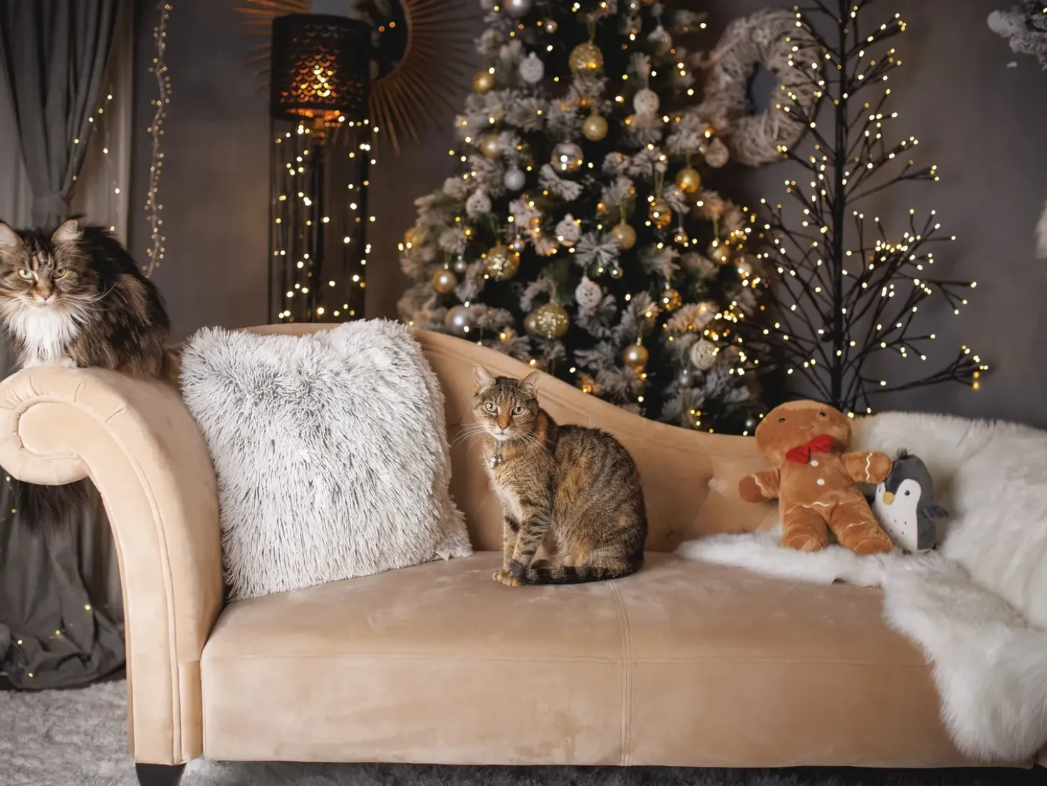 Chaise longue versione destra LATTES Velluto Beige