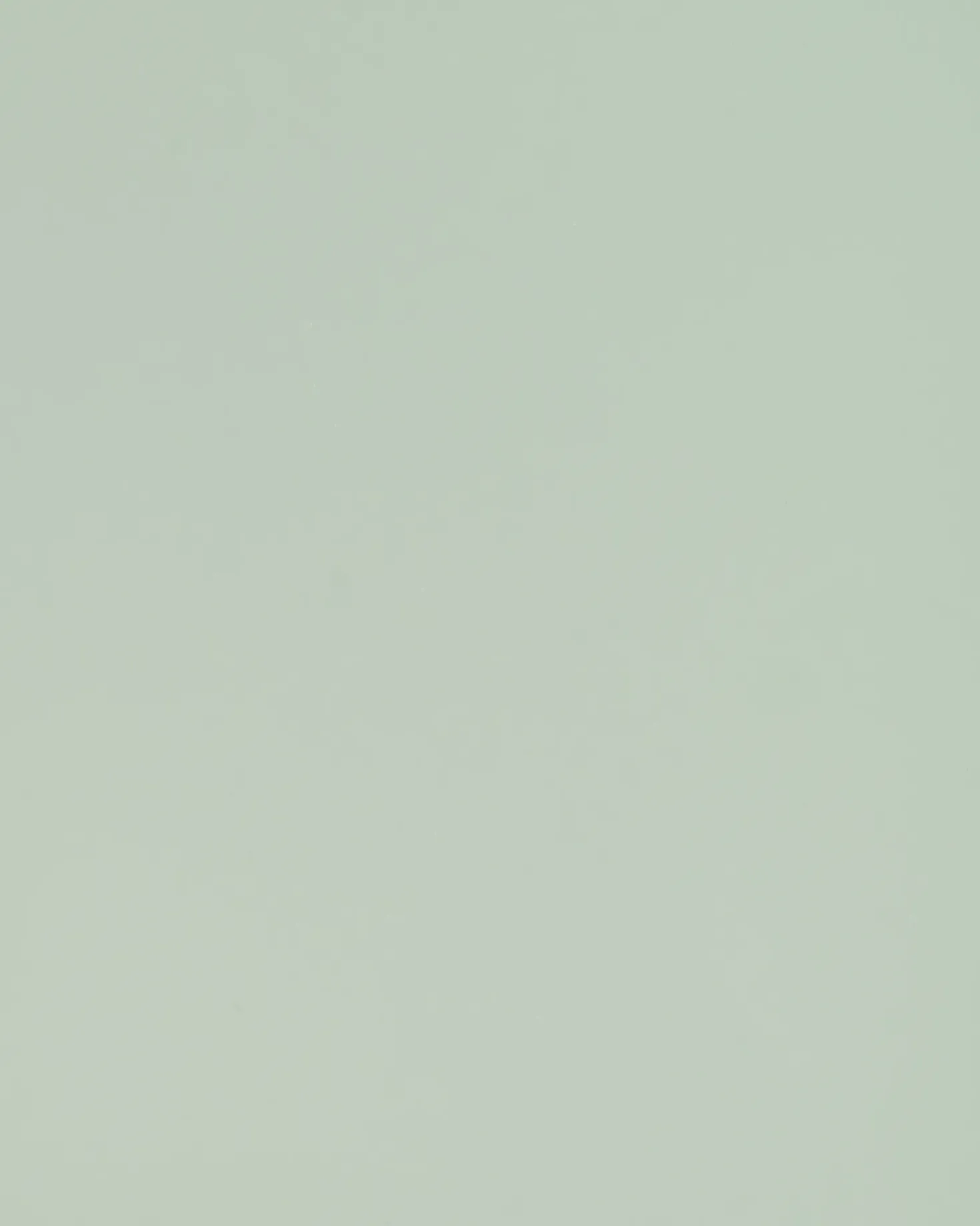 Comodino 2 cassetti KYLEA Metallo Verde menta