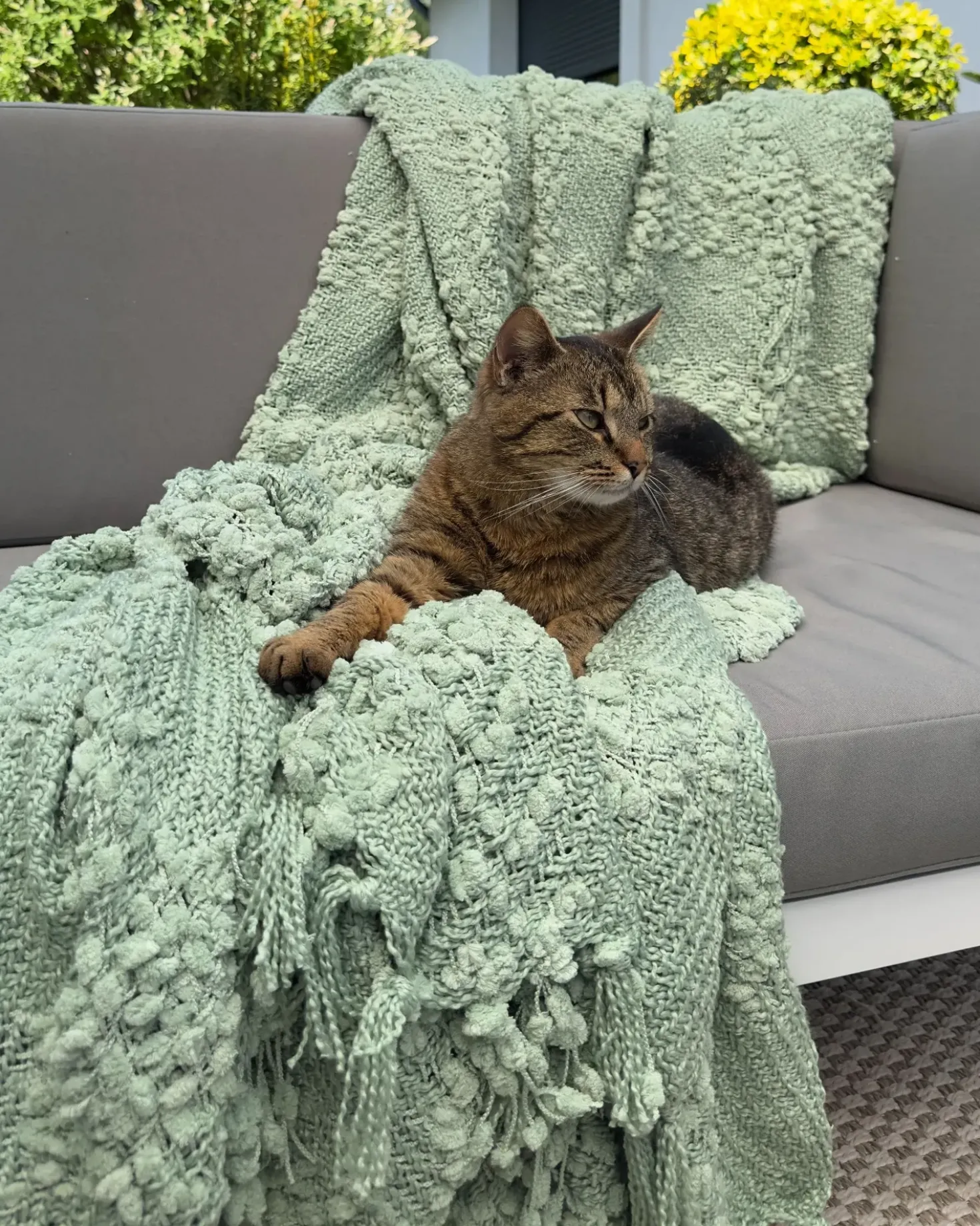 Coperta VELLA 220 x 240 cm Verde
