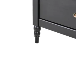 Credenza a 2 ante SHILLINGTON Legno di pino Nero