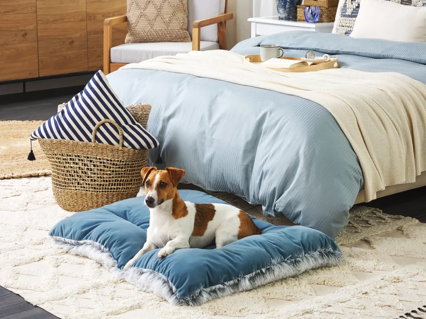 Cuccia per animali ERGANI Velluto Blu