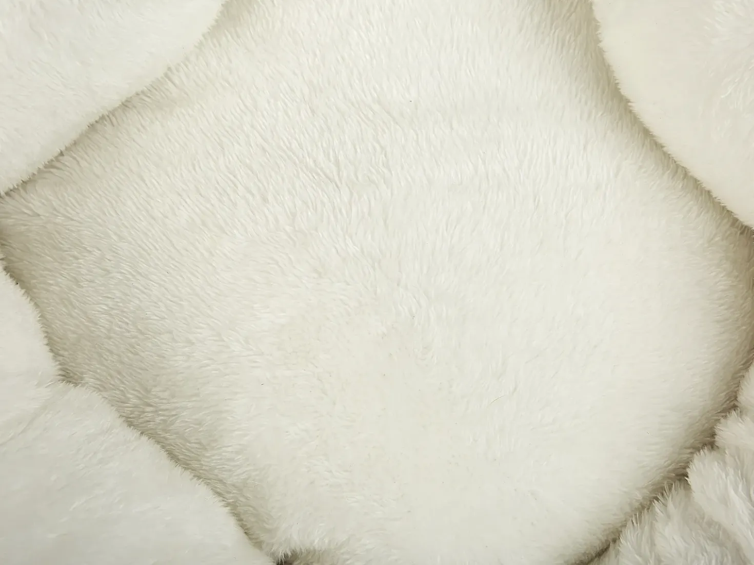 Cuccia per animali HASSA Velluto Arancione
