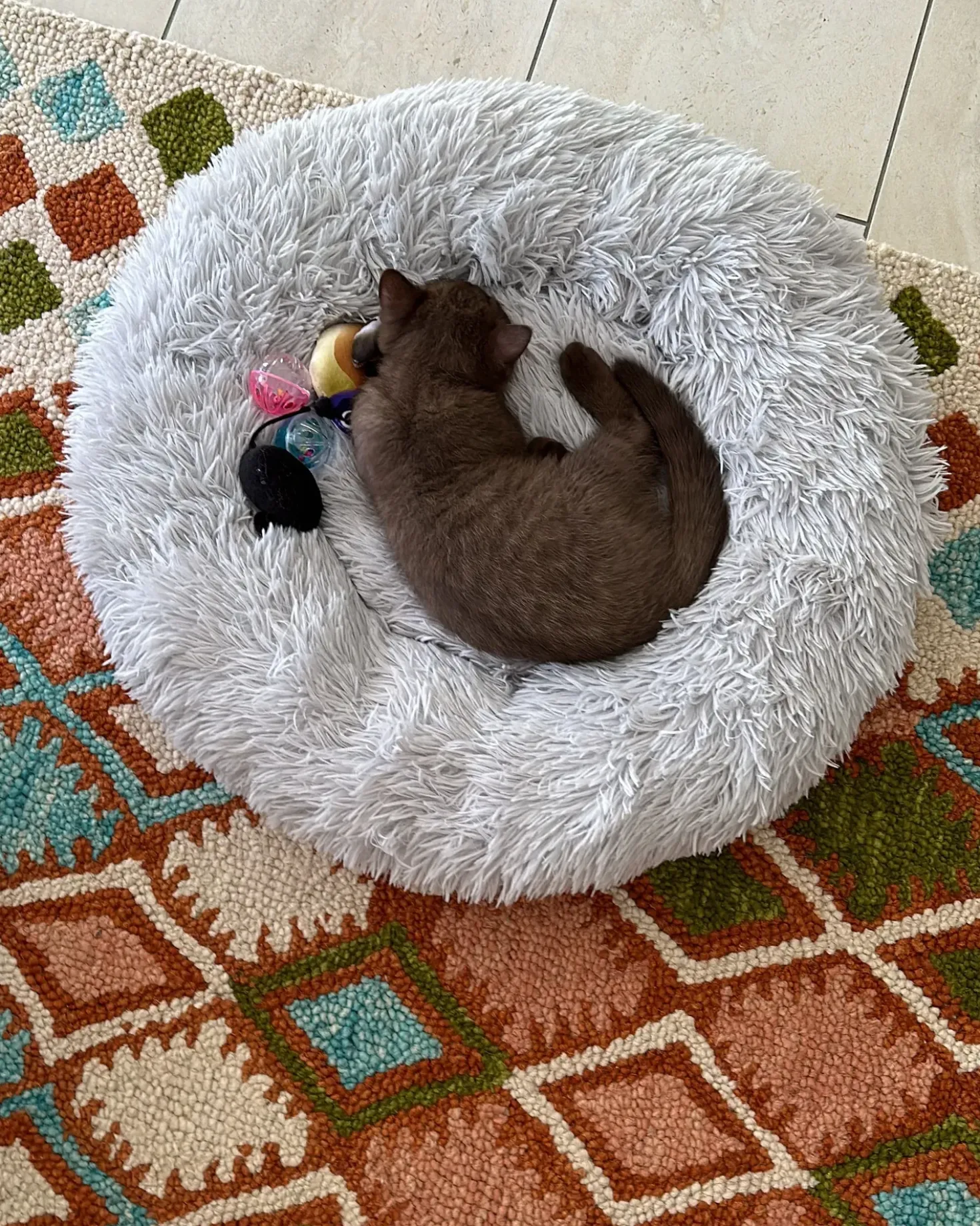 Cuccia per animali KULU Finta pelliccia Grigio chiaro