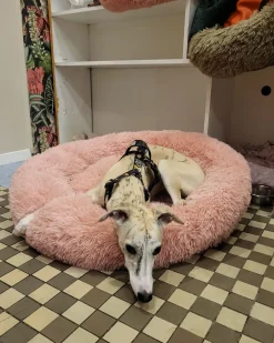Cuccia per animali KULU Finta pelliccia Rosa