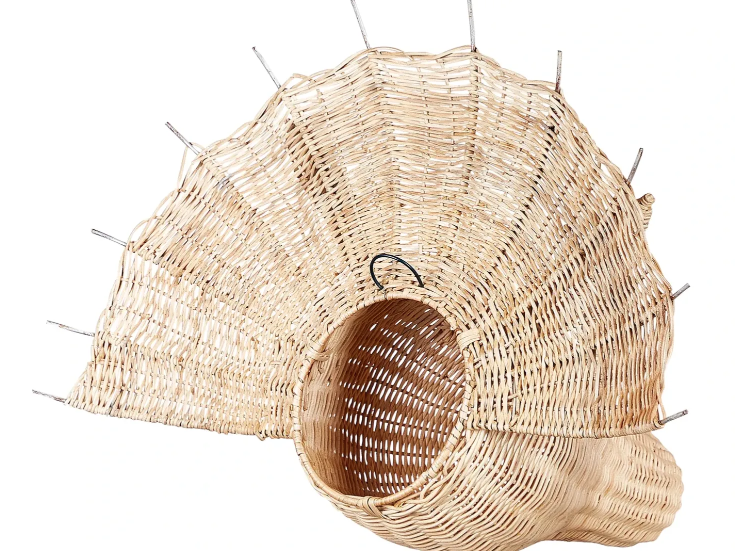 Decorazione da parete Dinosauro BIOKO Rattan 44 cm Naturale