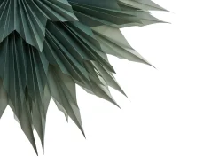 Decorazione natalizia GRONA Stella 96 cm Verde