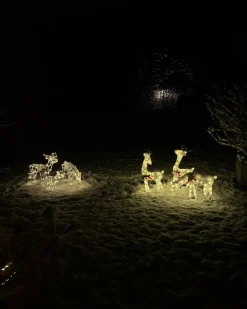 Decorazione per esterni LED MIKKELI Renna animata 76/47/52 cm Bianco