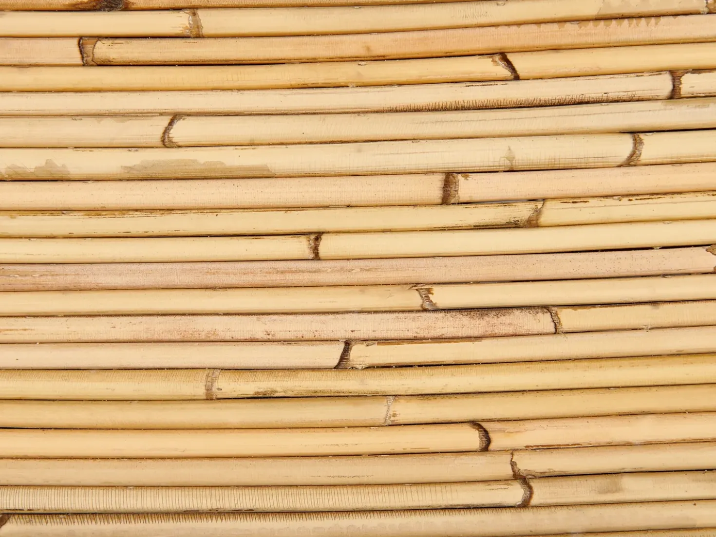 Divano da giardino 2 posti MAIORI Rattan Naturale