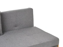 Divano letto 2 posti EDLAND Tessuto Grigio scuro