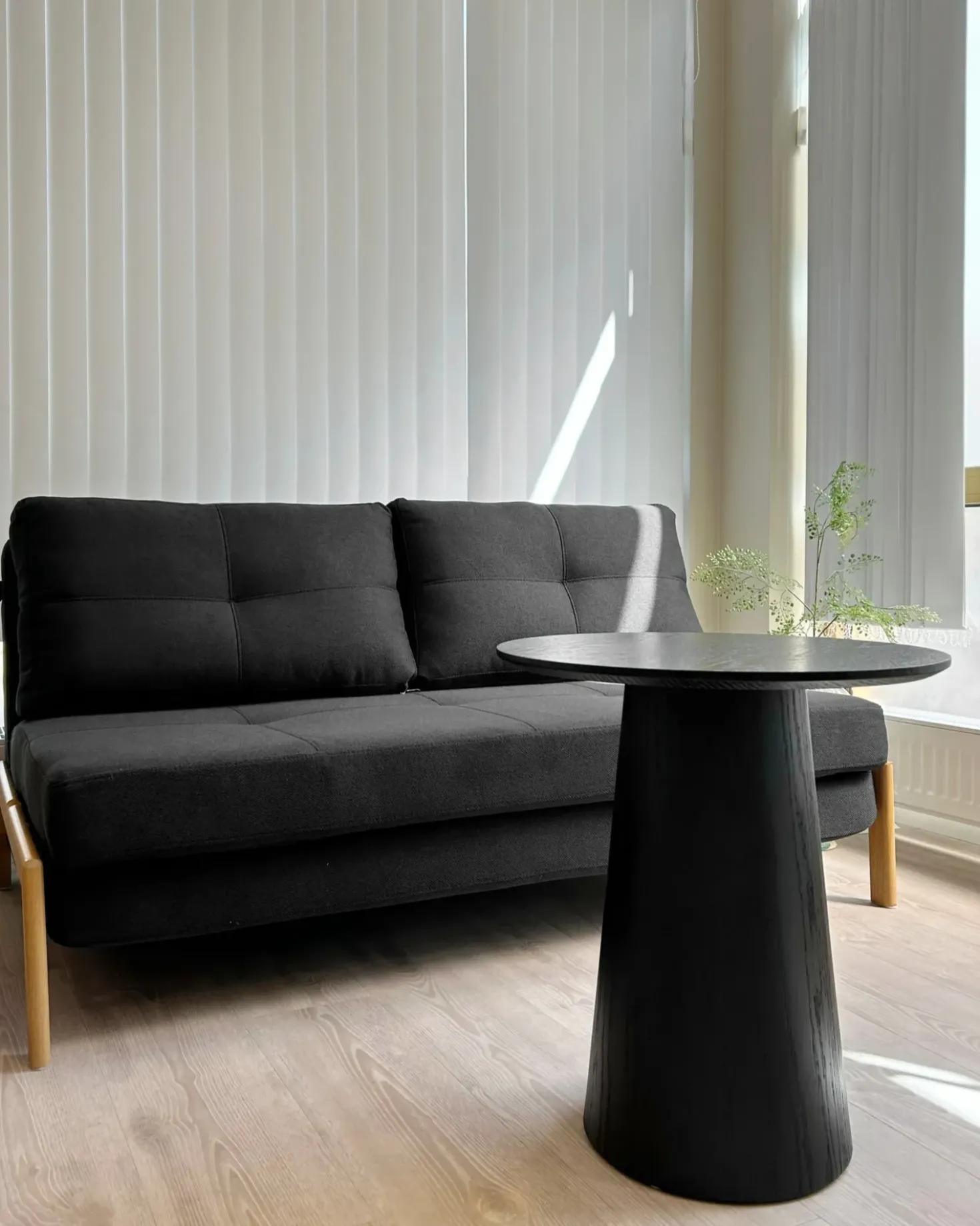 Divano letto 2 posti EDLAND Tessuto Nero