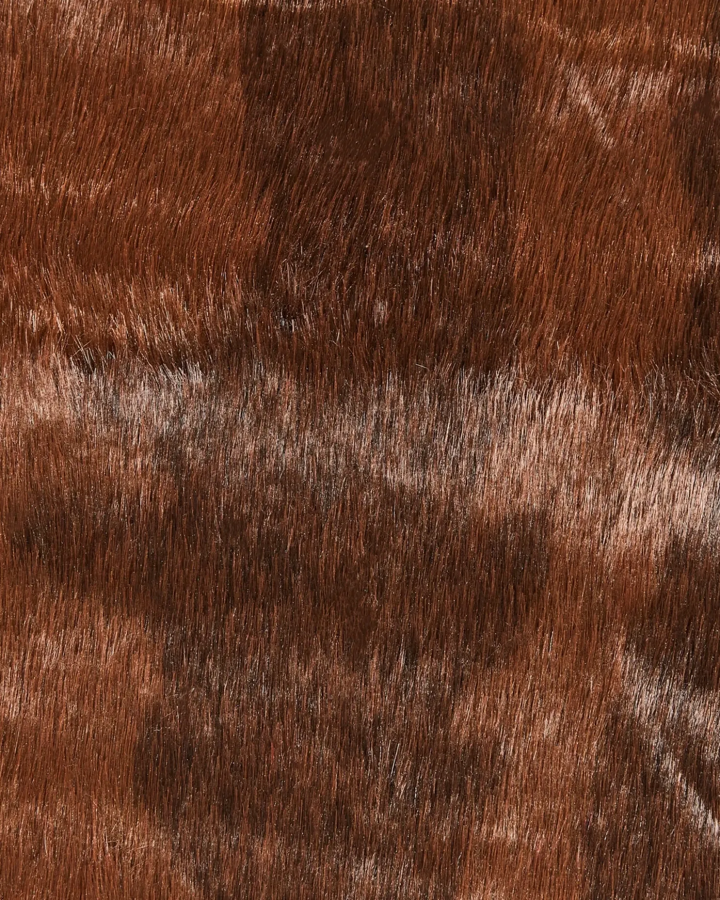 Finta pelle di mucca BOGONG Marrone scuro 130 x 170 cm