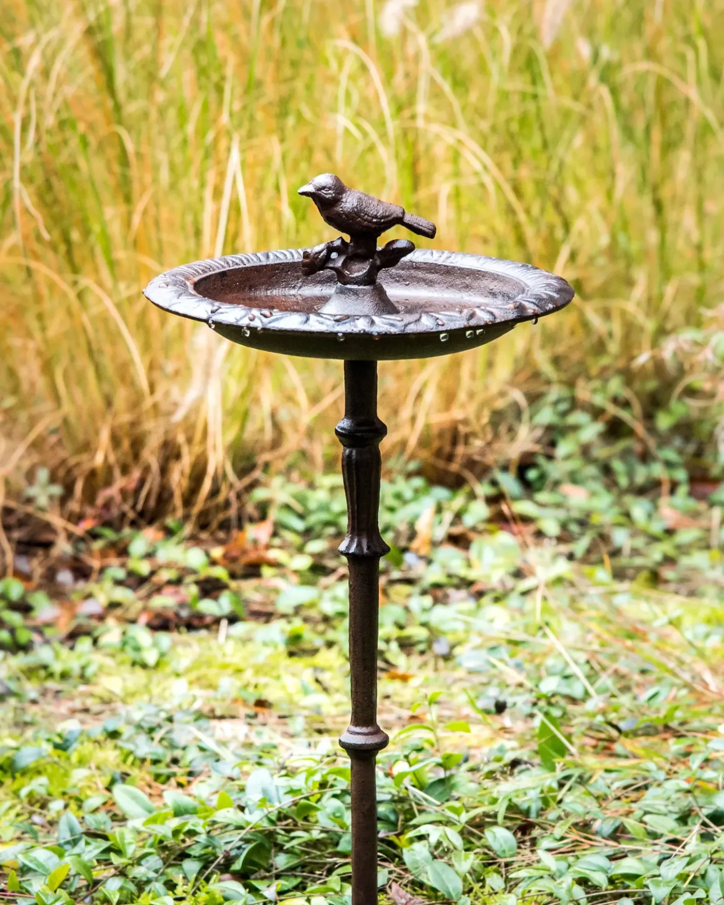 Fontana per uccelli SWALLOW Marrone