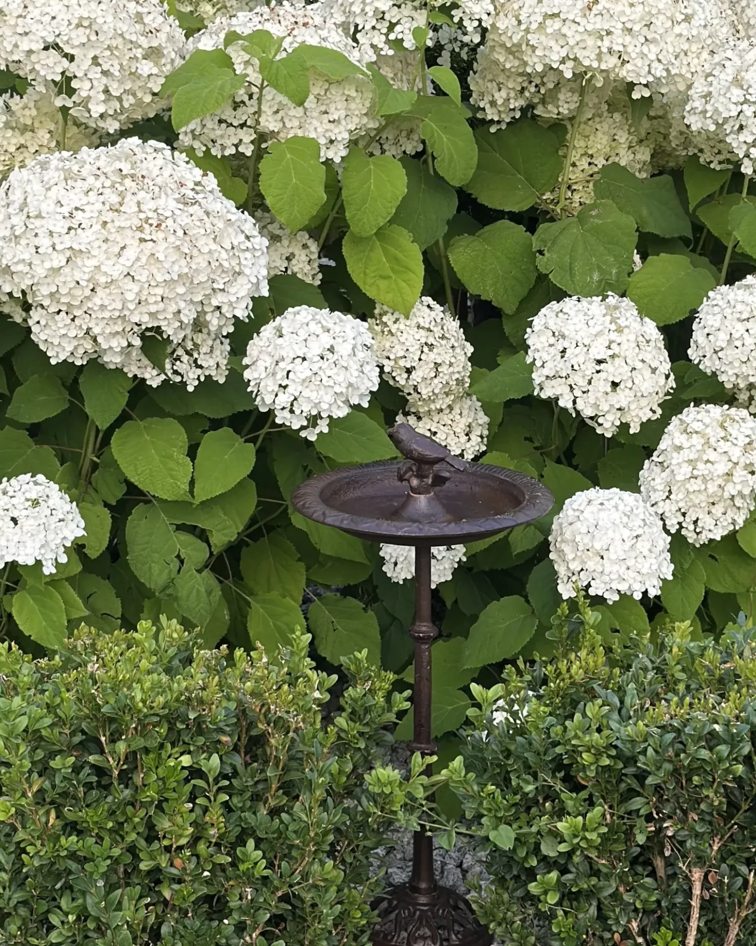 Fontana per uccelli SWALLOW Marrone