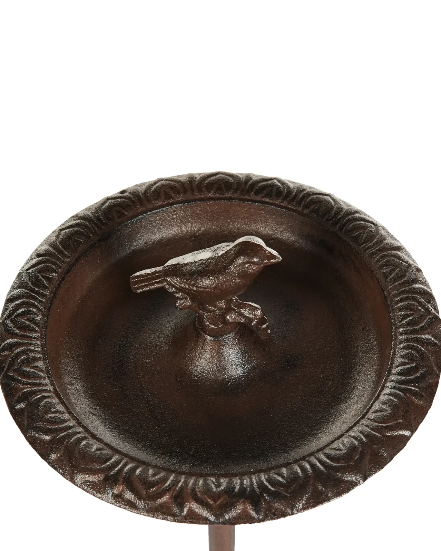 Fontana per uccelli SWALLOW Marrone