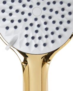 Kit doccia con soffione e flessibile TARMA 4 Funzioni Oro