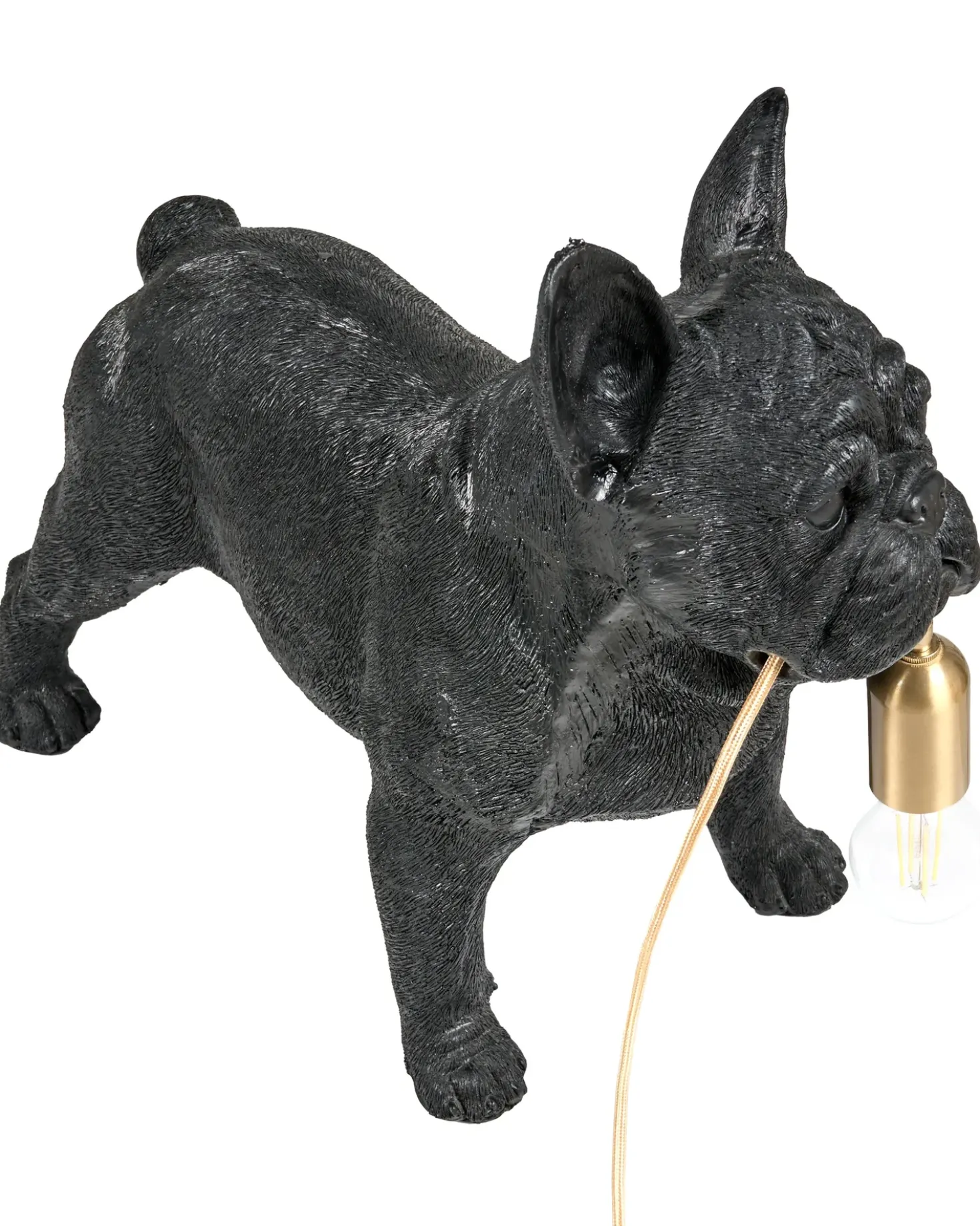 Lampada da tavolo Cane BAXTER Nero