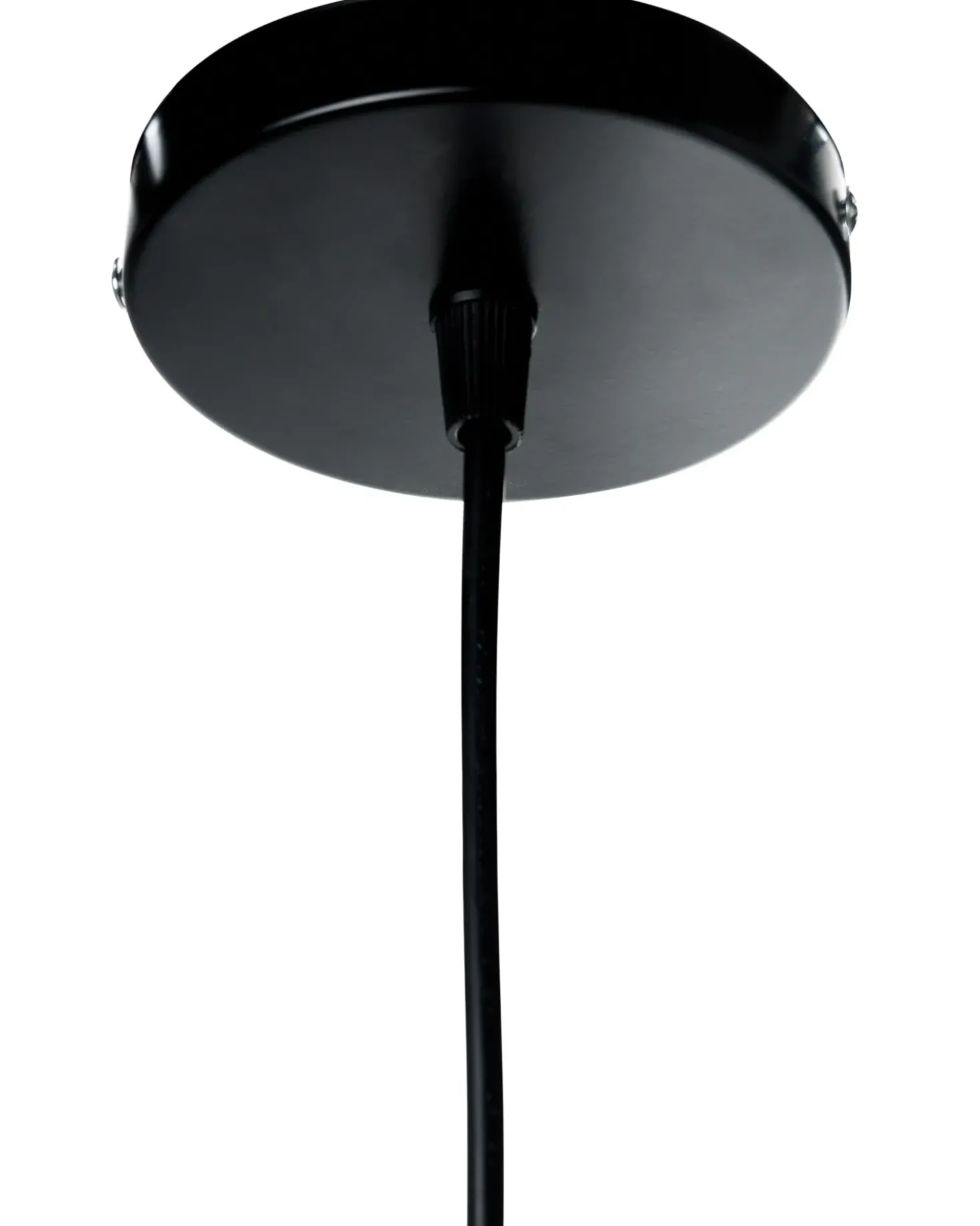 Lampadario MOROVIS Alghe marine Naturale