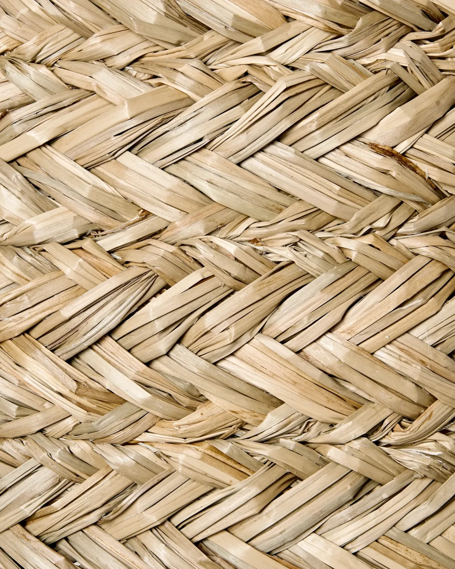 Lampadario MOROVIS Alghe marine Naturale