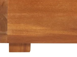 Lettino Prendisole con Cuscino FANANO Legno d'acacia Marrone