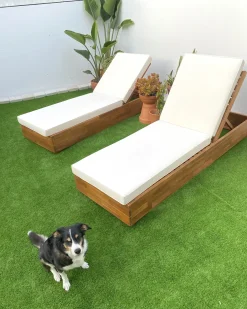 Lettino Prendisole con Cuscino FANANO Legno d'acacia Marrone