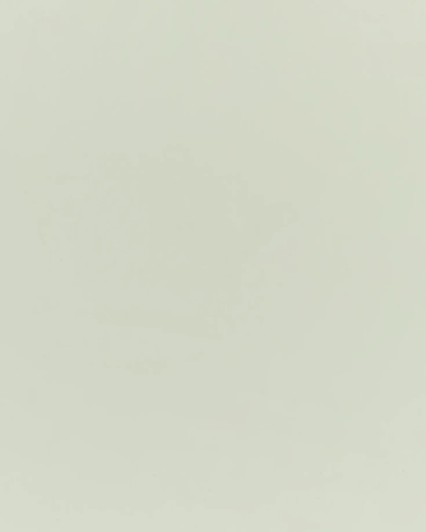 Libreria a 3 ripiani LILOET 102 cm Verde chiaro