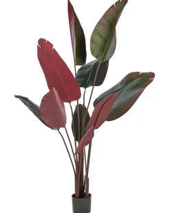 Pianta artificiale BANANA TREE 163 cm Verde