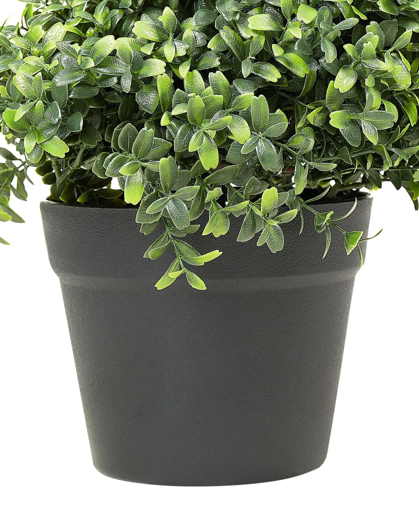 Pianta artificiale BUXUS SPIRAL TREE 98 cm Verde