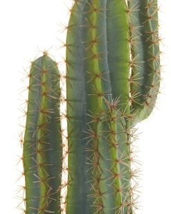 Pianta artificiale CACTUS 78 cm Verde