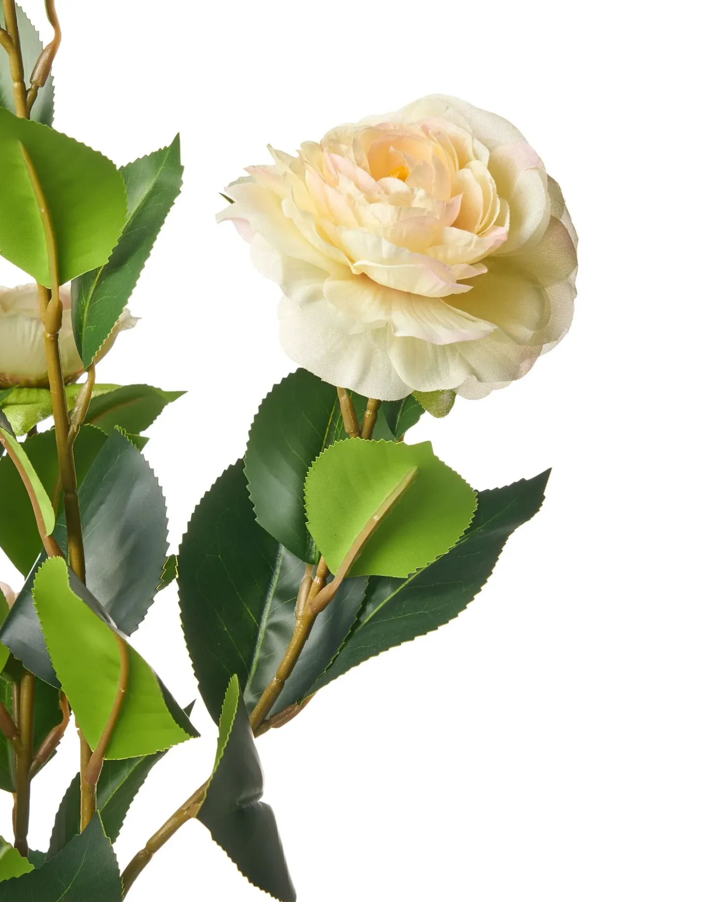 Pianta artificiale CAMELLIA 60 cm Verde