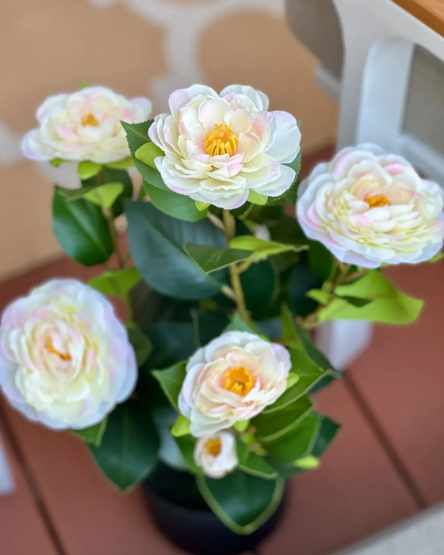 Pianta artificiale CAMELLIA 60 cm Verde