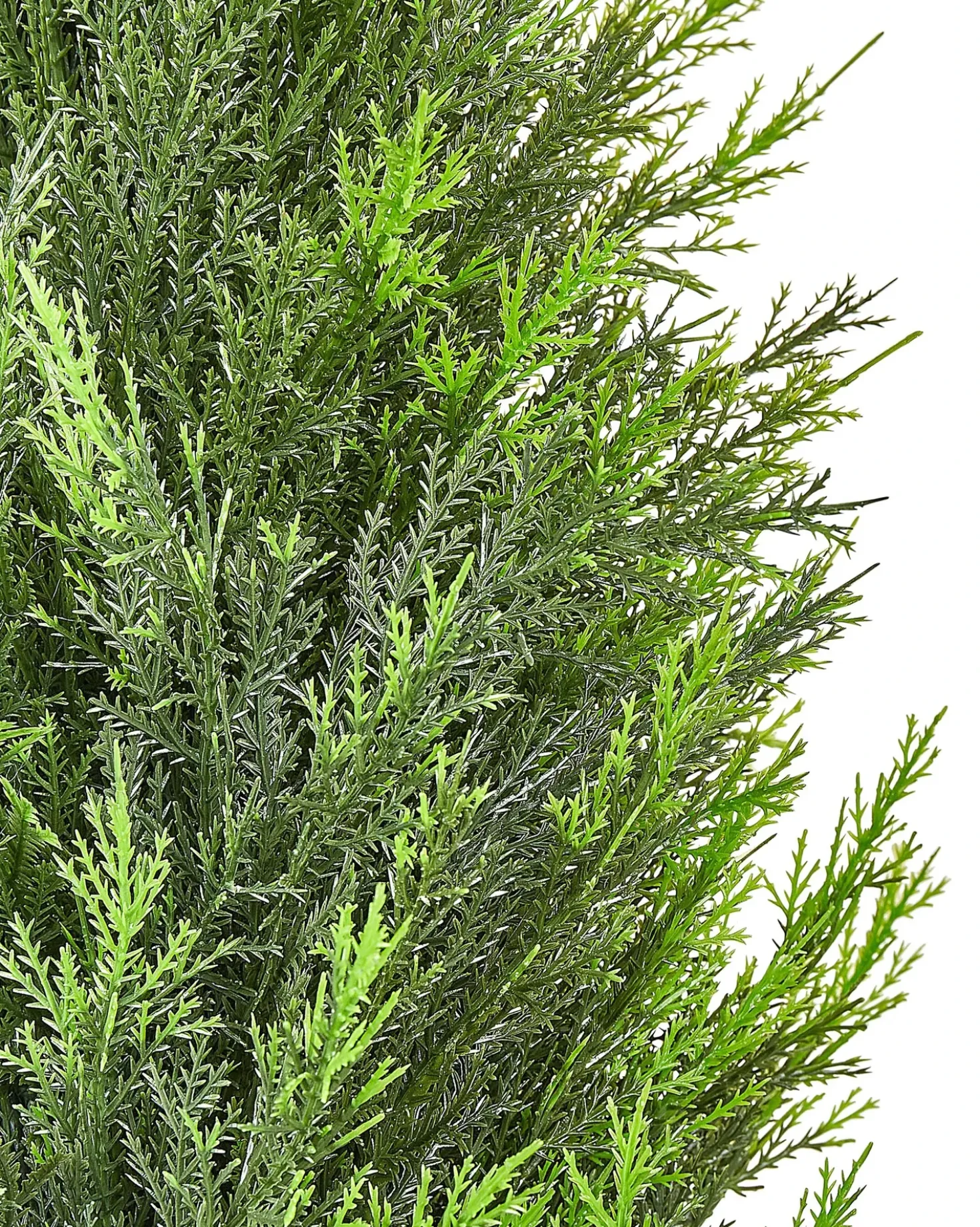 Pianta artificiale CEDAR TREE 120 cm Verde