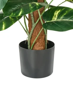 Pianta artificiale DIEFFENBACHIA 152 cm Verde