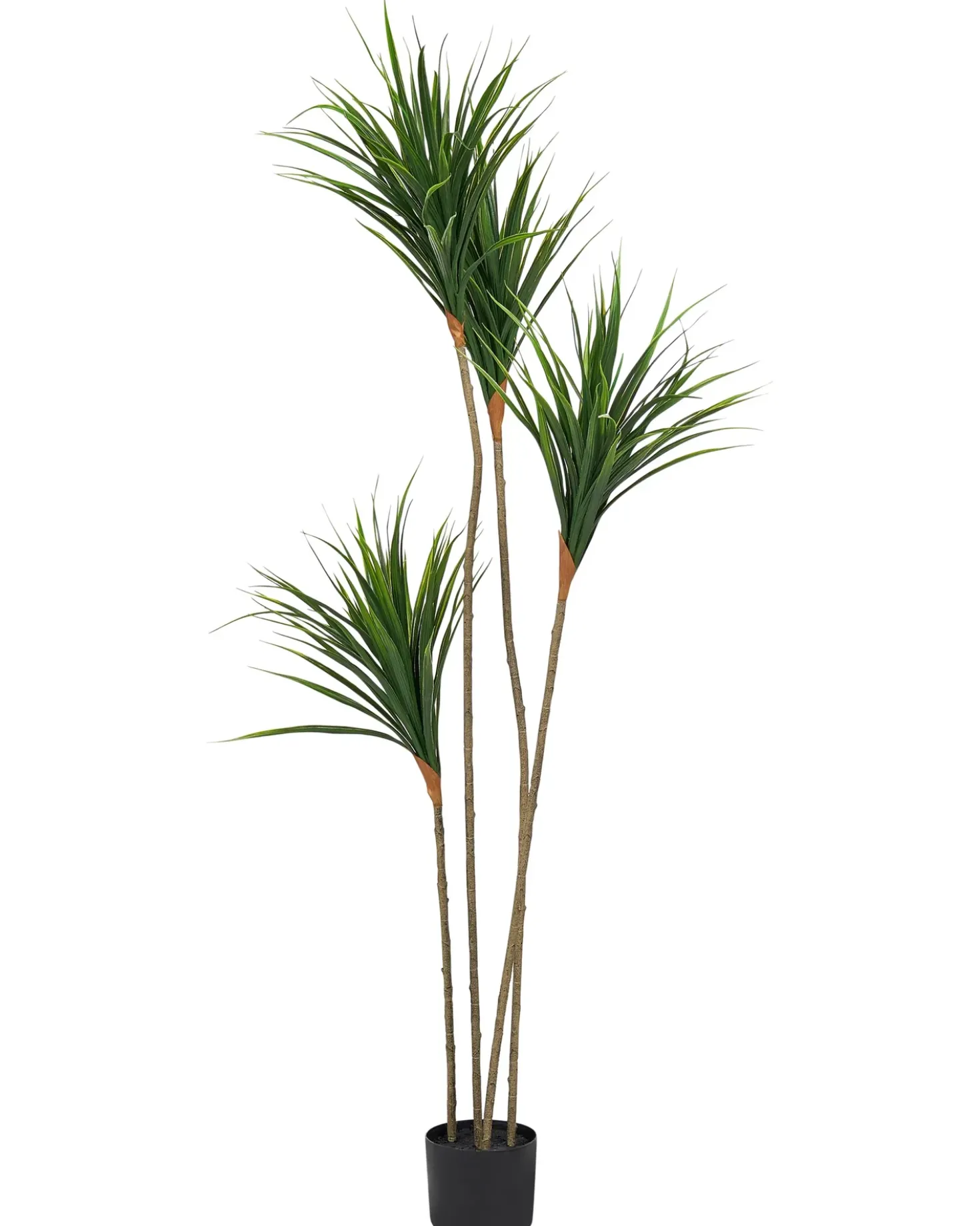 Pianta artificiale DRACAENA DRACO 165 cm Verde