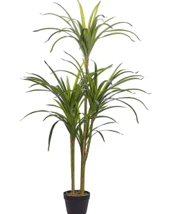 Pianta artificiale DRACAENA ANITA 147 cm Verde