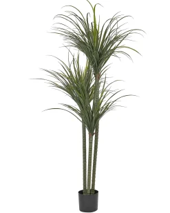 Pianta artificiale DRACAENA ANITA 198 cm Verde