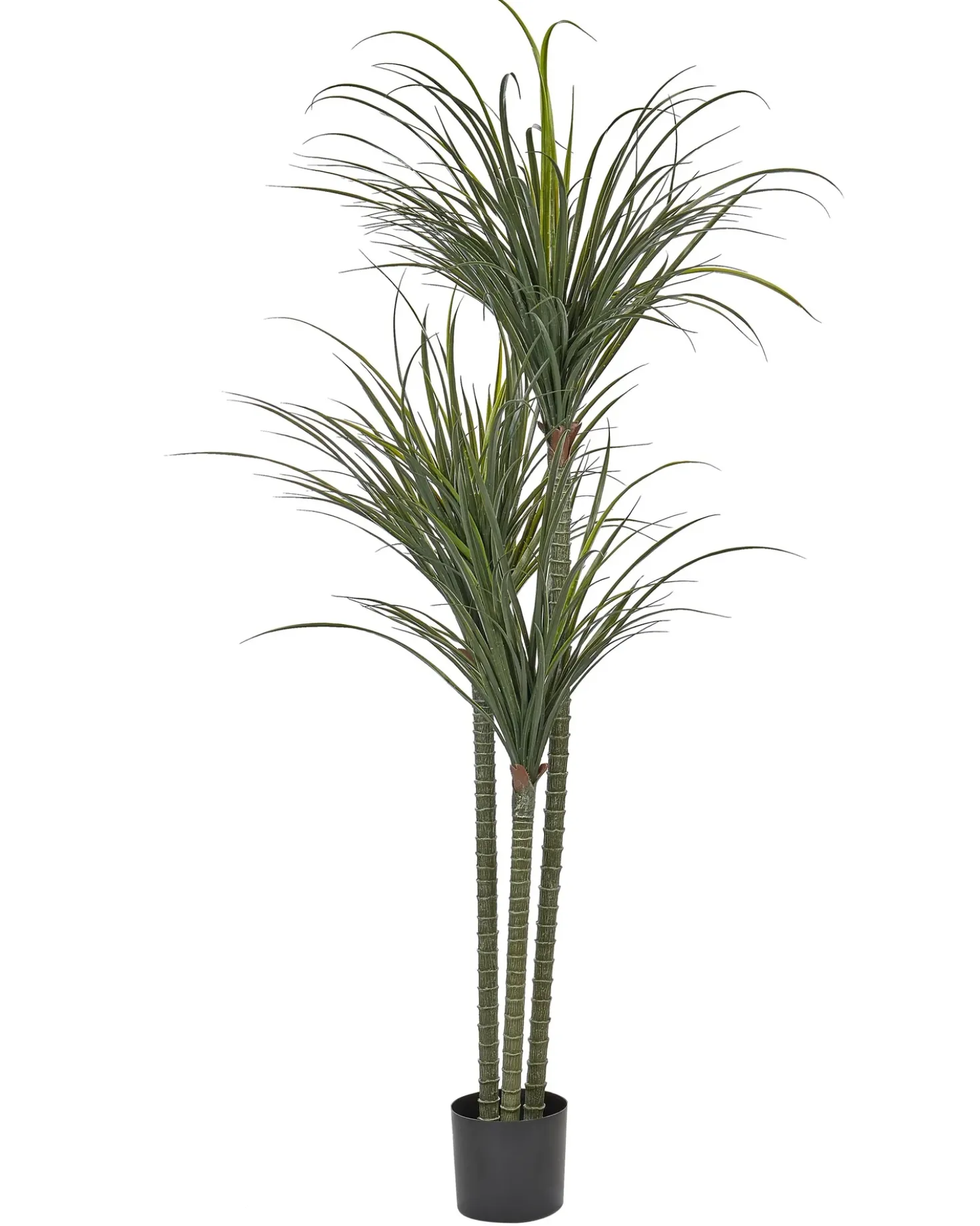 Pianta artificiale DRACAENA ANITA 198 cm Verde