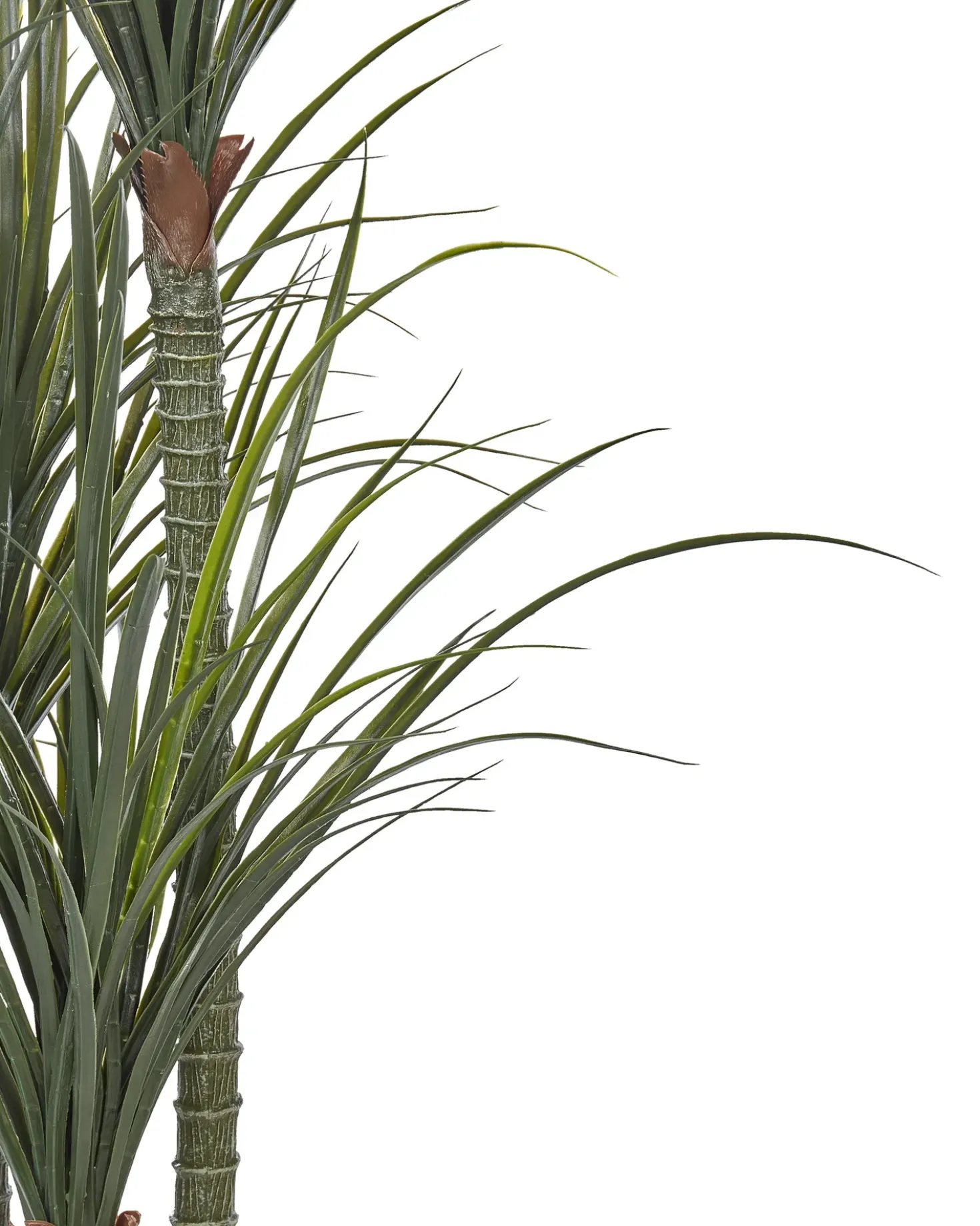 Pianta artificiale DRACAENA ANITA 198 cm Verde