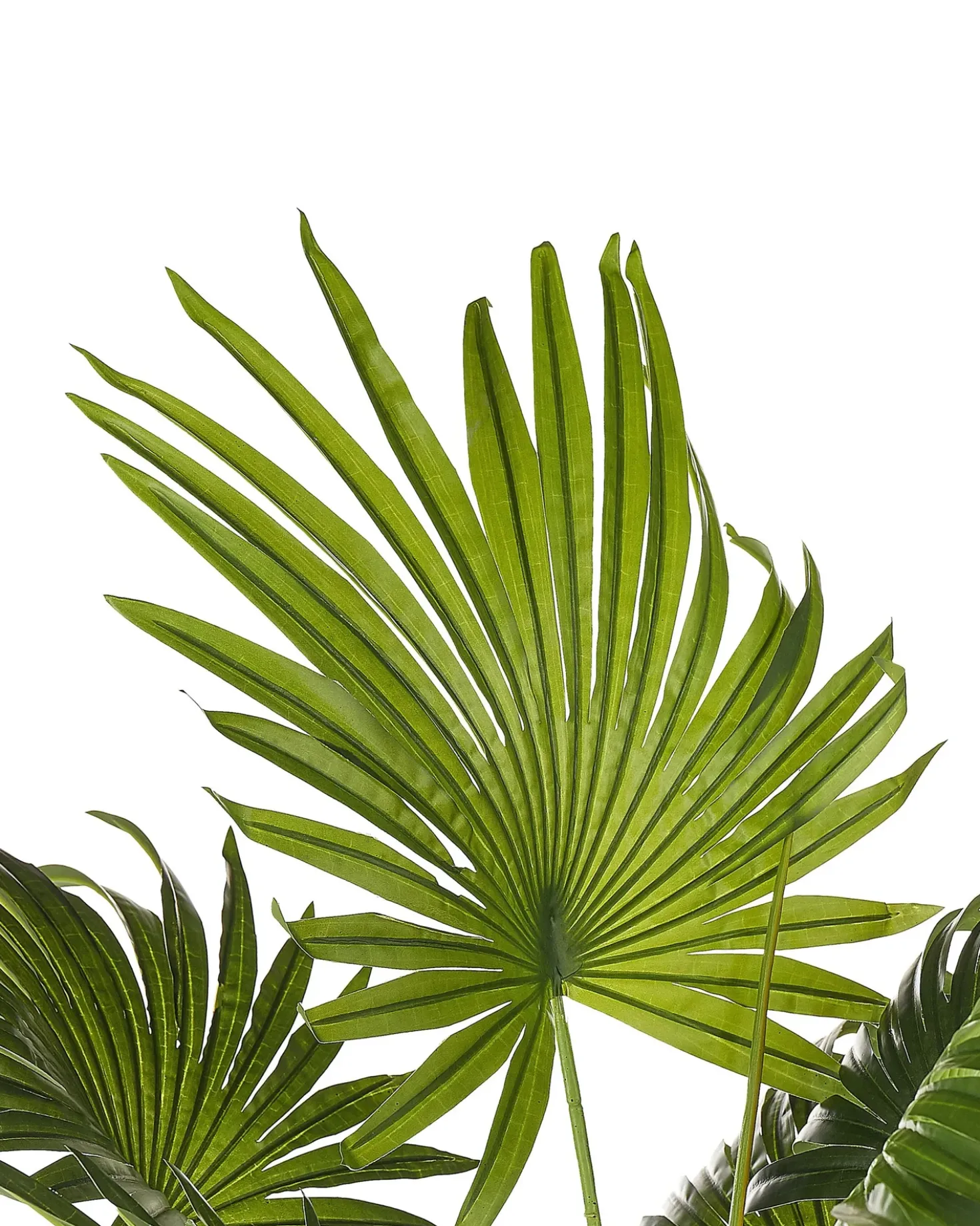 Pianta artificiale FAN PALM 100 cm Verde