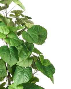 Pianta artificiale FICUS TREE 160 cm Verde