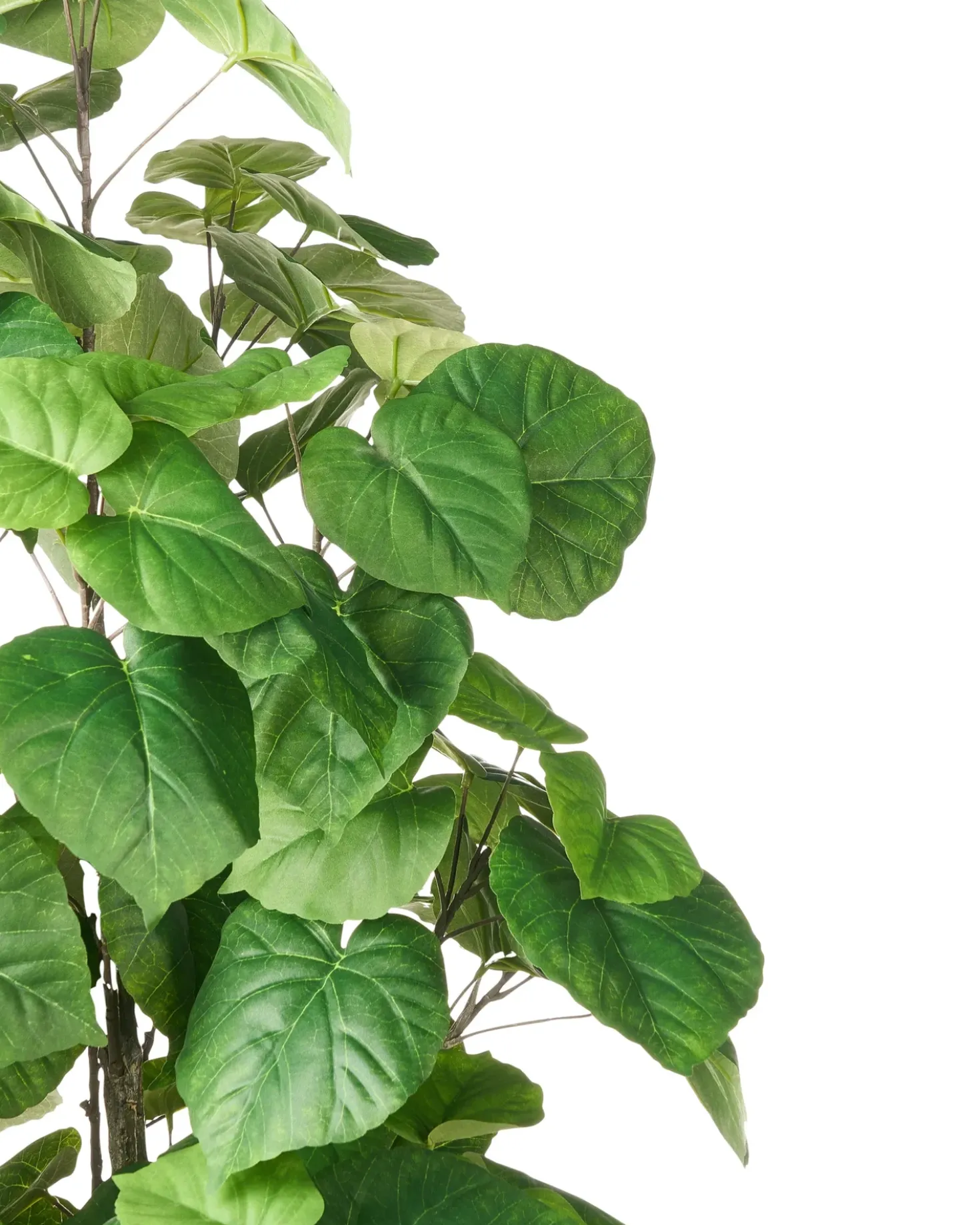 Pianta artificiale FICUS TREE 160 cm Verde